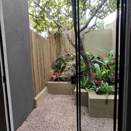 Villa Azaleia Alto Paraíso de Goiás 外观 照片